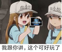托拉姆物语双剑五阶三大流派解析