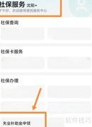 沈阳失业金领取流程指南