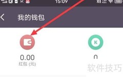 如何查看Keep收支明细