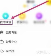 美聊收支明细查看方法