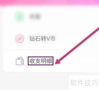 美聊收支明细查看方法