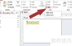 Access中使用Web浏览器控件