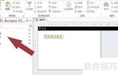 Access中使用Web浏览器控件