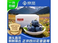 京觅四川高山花香蓝莓4盒装，满19减5仅29.9元包邮