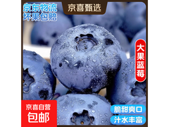 国产云南蓝莓4盒装，原价21.9元，满9减5仅16.9元