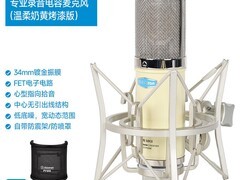 爱克创CM6MKII-Y麦克风直降96元