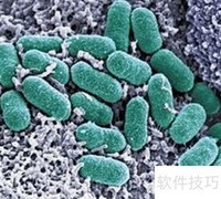 合成DNA的原料是什么