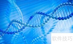 DNA分子结构解析