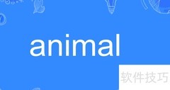 animal怎么读？正确发音指南