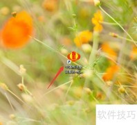 如何快速查找所需税法