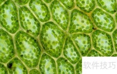 显微镜使用注意事项