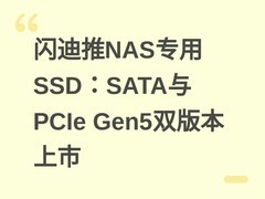 闪迪推NAS专用SSD：SATA与PCIe Gen5双版本上市