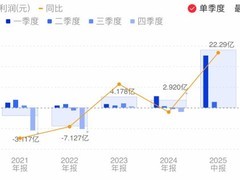 光线传媒2025半年报：营收增长143%，哪吒电影全球热映