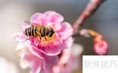 蜜蜂中枢神经解析