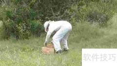 新手养蜂入门技巧