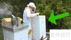 新手养蜂入门技巧