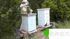 新手养蜂入门技巧