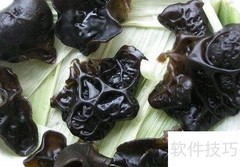 低卡美食，轻松享瘦