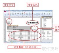 报告单打印助手