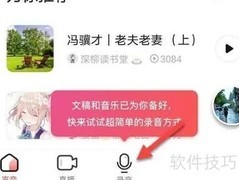 荔枝录音配乐方法