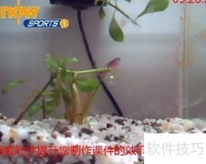 录播系统解决方案