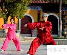 太极推手：健身养生之道