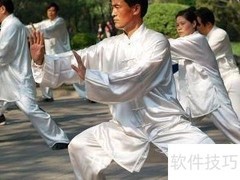 陈式太极推手练习指南