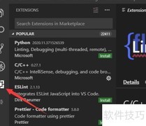 VS Code中文语言包下载指南