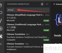 VS Code中文语言包下载指南