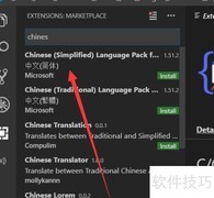 VS Code中文语言包下载指南