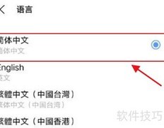 vivos10简体中文设置方法