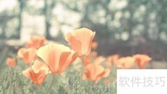 12星座最佳配对与死党揭秘