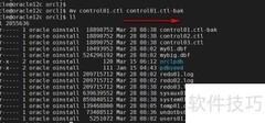 Oracle12c PDB控制文件恢复