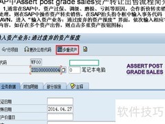 SAP资产转让出售流程解析