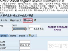 SAP资产转卖销售流程解析