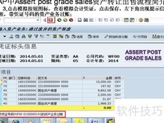 SAP资产转让出售流程解析