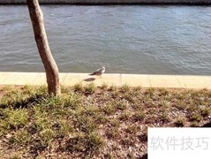 昆明滇池游玩全攻略