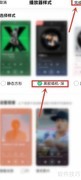 QQ音乐黑胶播放器设置指南