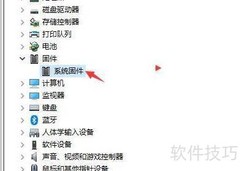 禁用固件设备程序方法