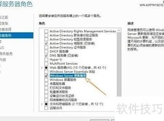 Windows功能无法自动安装
