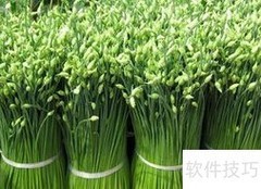 低卡减肥食品推荐