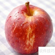 负卡路里食物有哪些？