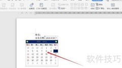Word插入日期控件方法