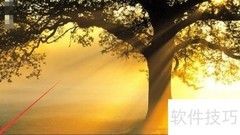 IE临时文件管理技巧