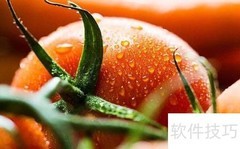 生鲜配送系统创业优选方案