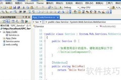 Visual Studio Web服务开发