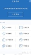个人所得税查询软件使用指南