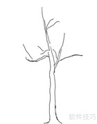 电脑绘画：轻松画一棵树