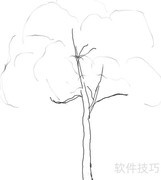 电脑绘画：轻松画一棵树