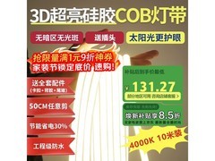 佼佼者10米COB灯带，京东折后123元